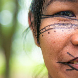 bibliodEx – Biblioteca Digital de Extensão da UnB