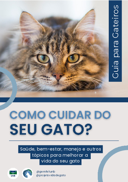 Como cuidar do seu gato? Guia para gateiros